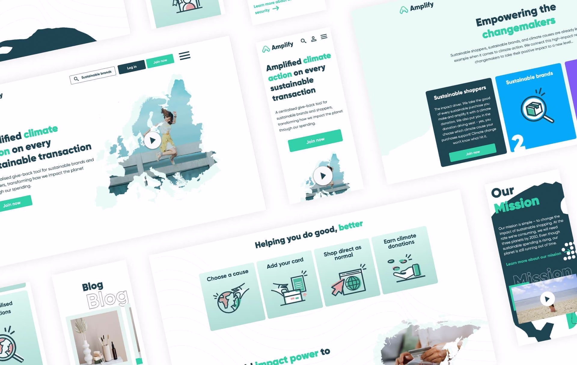 Amplify Donations Case Study
